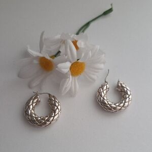 Elegant Silver Hoop Earrings